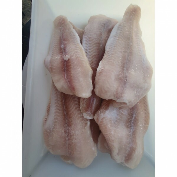 FILÉ DE LINGUADO 01 Kg