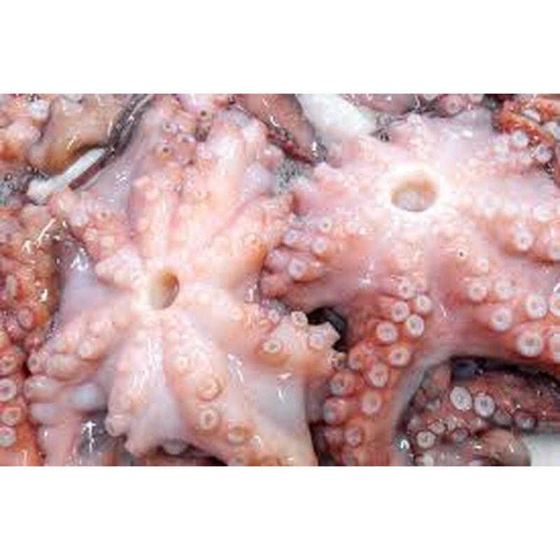 POLVO FRESCO 01 Kg
