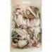 POLVO FRESCO 01 Kg