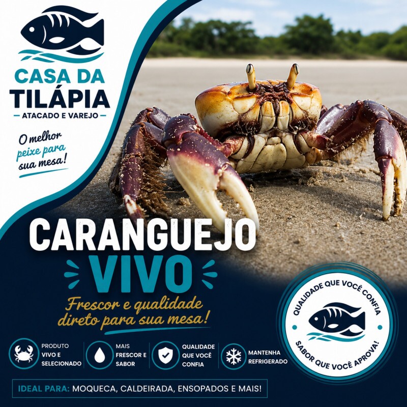 CARANGUEJO VIVO 01 UN