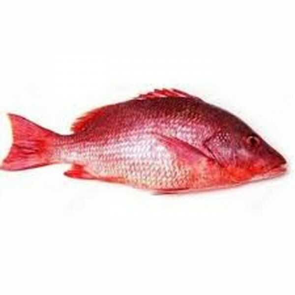 PEIXE CIOBA 01 Kg PEIXE CIOBA 01 Kg