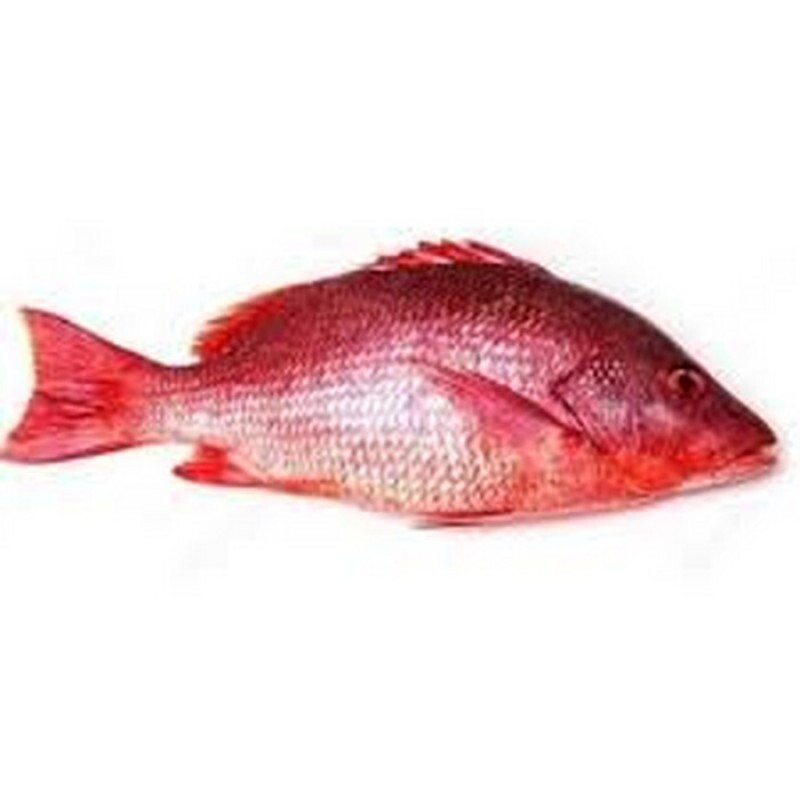PEIXE CIOBA 01 Kg