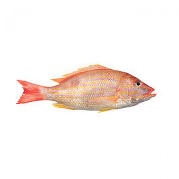 PEIXE ARIOCÓ INTEIRO 01 KG