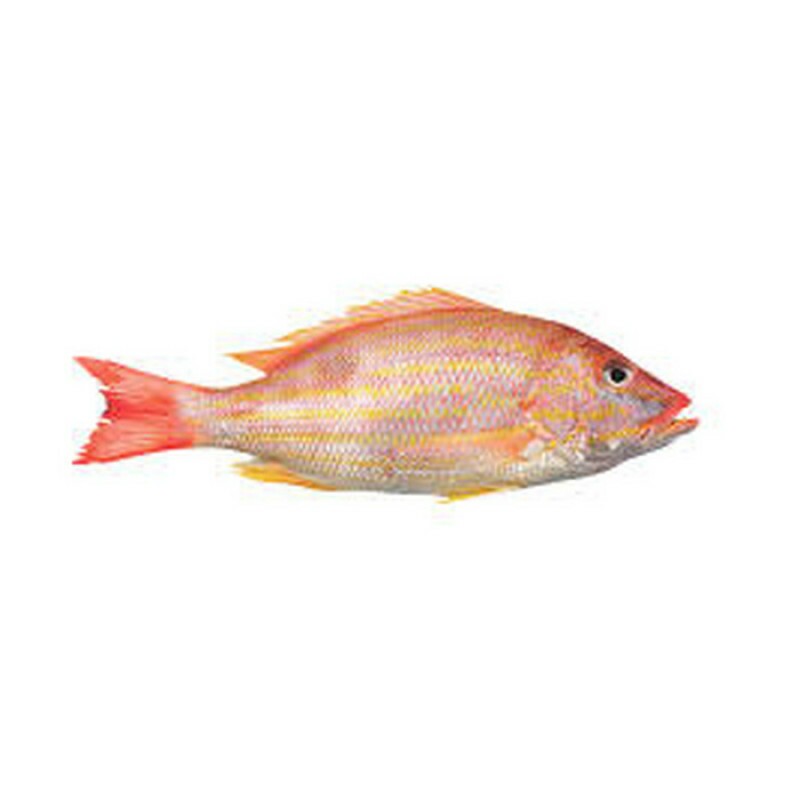 PEIXE ARIOCÓ INTEIRO 01 KG PEIXE ARIOCÓ INTEIRO 01 KG