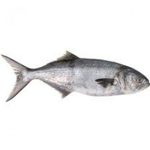PEIXE ANCHOVA INTEIRO 01 KG