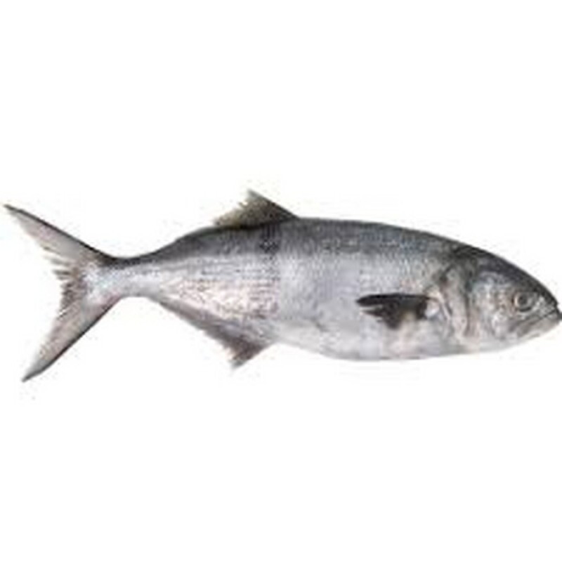 PEIXE ANCHOVA INTEIRO 01 KG PEIXE ANCHOVA INTEIRO 01 KG