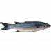 PEIXE TAINHA INTEIRO 01 KG PEIXE TAINHA INTEIRO 01 KG