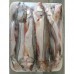 PEIXE ROBALINHO EVISCERADO 01 KG PEIXE ROBALINHO EVISCERADO 01 KG