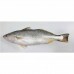 PEIXE PESCADA BRANCA INTEIRO 01 KG PEIXE PESCADA BRANCA INTEIRO 01 KG
