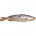 PEIXE PESCADA AMARELA INTEIRO 01 KG PEIXE PESCADA AMARELA INTEIRO 01 KG
