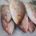 PEIXE GUAIÚBA INTEIRO 01 KG PEIXE GUAIÚBA INTEIRO 01 KG